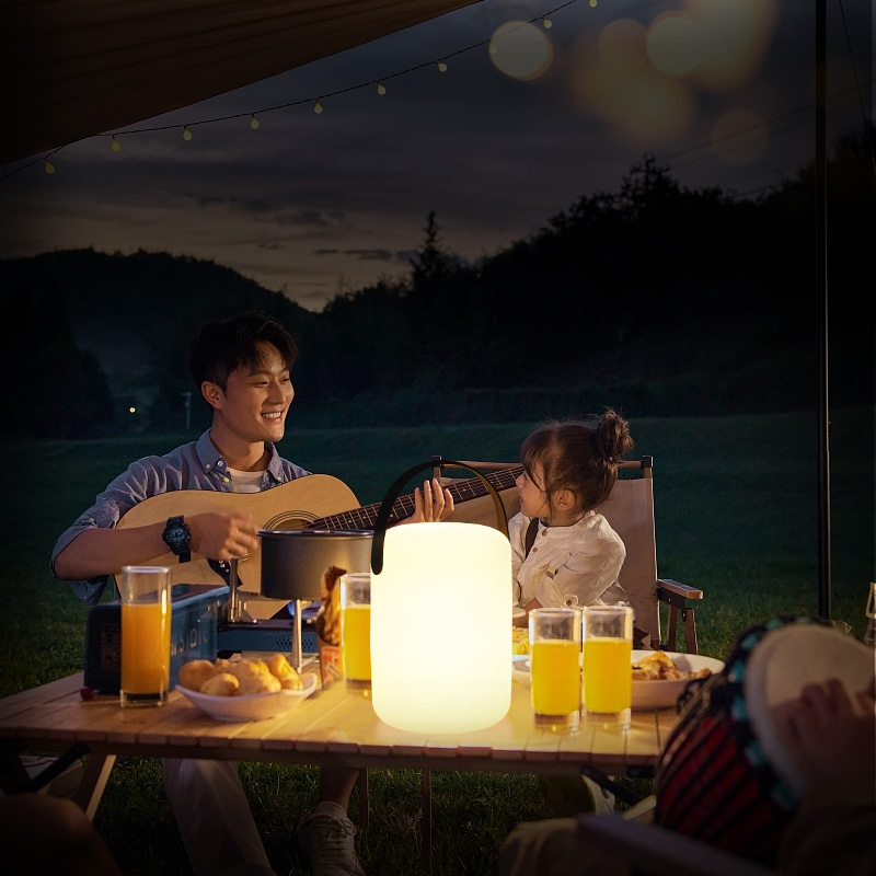 IP65 Outdoor Waterproof Portable Table Lamp With Handle