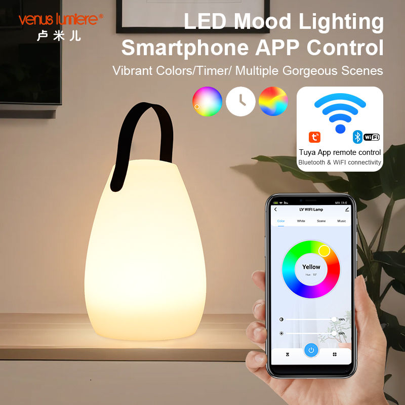 Custom Alexa Enabled WiFi Bluetooth LED Portable Smart Table Lamp