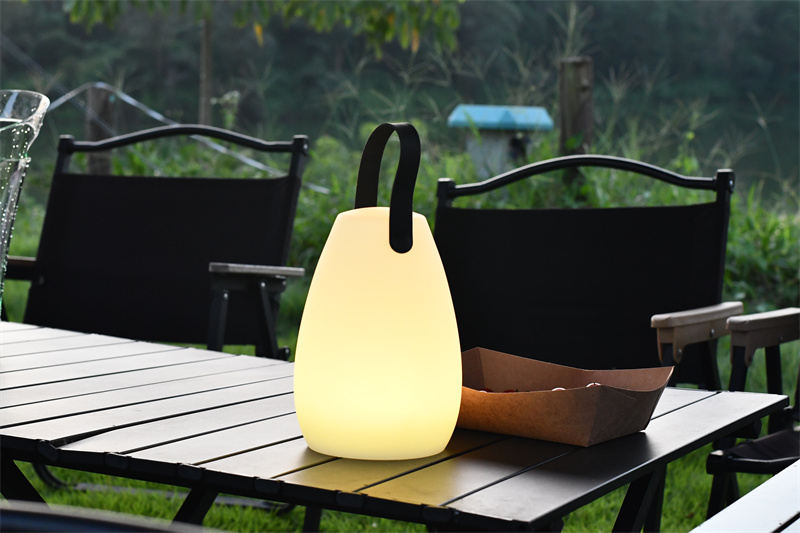 Portable Table Lamps Remain a Favorite Choice Among Consumers Worldwide | Light Venus